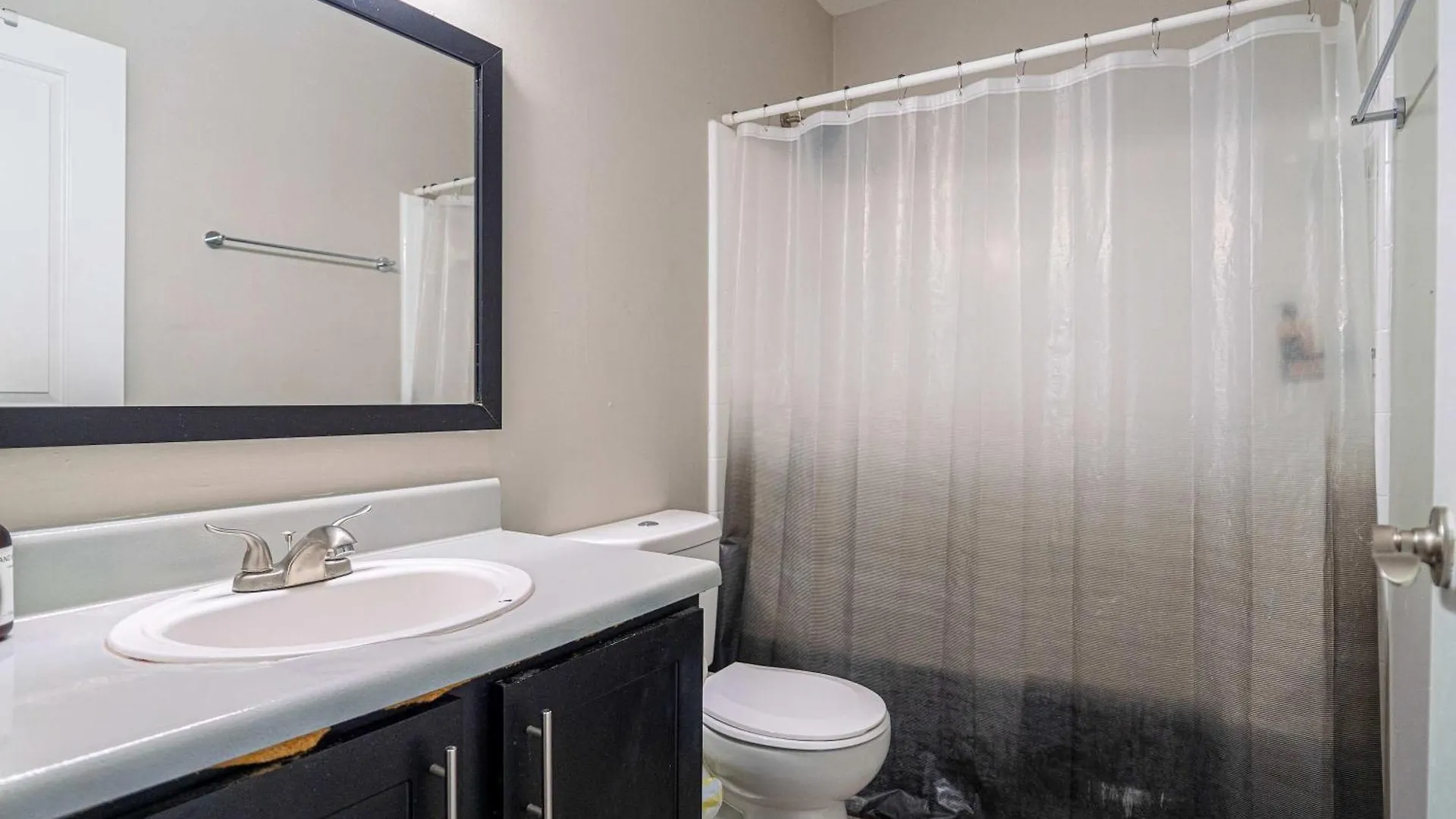 Usf & Busch Gardens Townhome Stay Tampa United States
